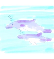 水の中を泳ぐ二頭のイルカ