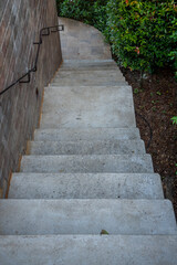 The steps outside with a brick wall and tree