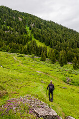 Fototapeta premium Grindelwald, Bussalp, Wanderweg, Wanderer, Bort, First, Alpen, Bergwiesen, Wald, Waldweg, Berner Oberland, Sommer, Schweiz