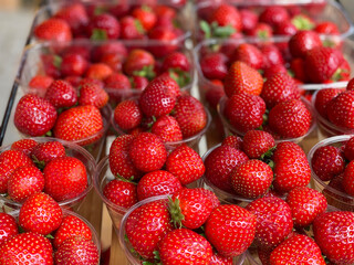 Fresh tasty strawberry in boxes on a show-window of the market