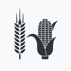 illustration of wheat and corn, vector art.