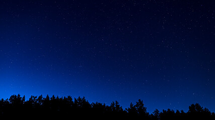 The starry night sky above the silhouette of the forest. The Andromeda Galaxy, the constellations of Giraffe, Cassiopeia