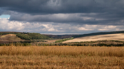 Fototapeta na wymiar countryside field with grass and stormy clouds 