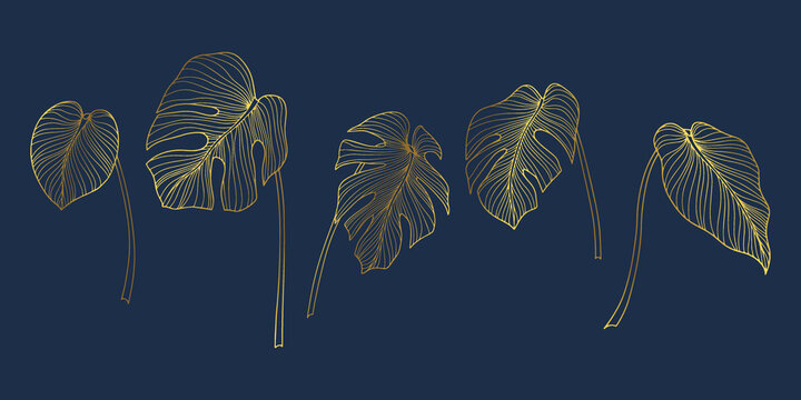 Leaves isolated on white. Tropical leaves. Hand drawn vector illustration