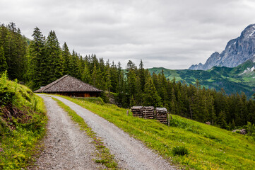 Grindelwald, Wetterhorn, Bort, First, Bussalp, Bergwiese, Bergblumen, Bergkräuter, Holz,...