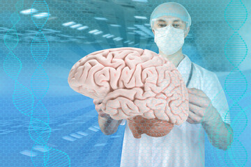 doctor, scientist is studying the human brain, the concept of medical health, intellectual...