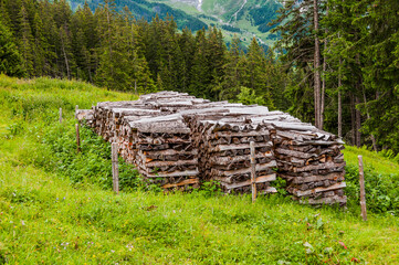 Grindelwald, Wetterhorn, Bort, First, Bussalp, Bergwiese,  Holz, Brennholz, Holzwirtschaft,...