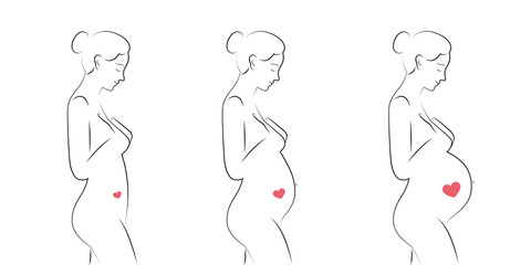 pregnant woman waiting for baby trimester set