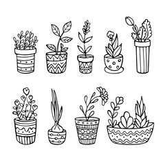 Set of hand-drawn plants in pots isolated on white background. Cute doodle vector illustration. 