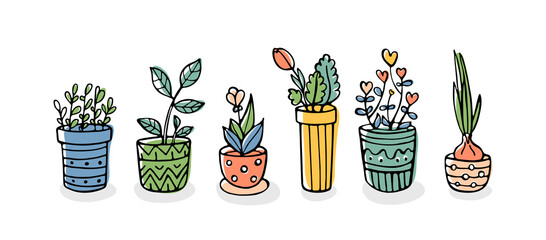 Set of hand-drawn plants in pots isolated on white background. Cute doodle vector illustration. 