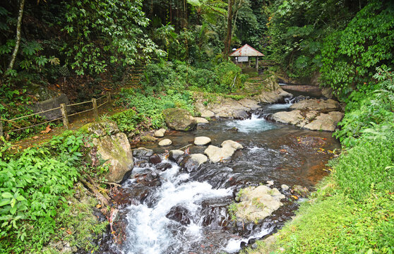 River at gitgit waterfall with alot of stones and smooth clear water