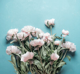 Big bunch of white peonies flowers on light blue background