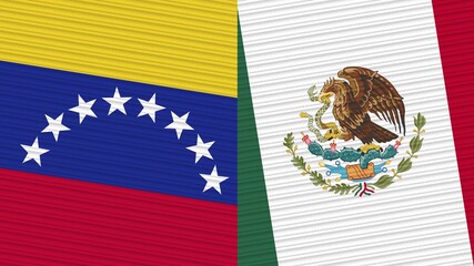 Mexico and Venezuela Two Half Flags Together Fabric Texture Illustration