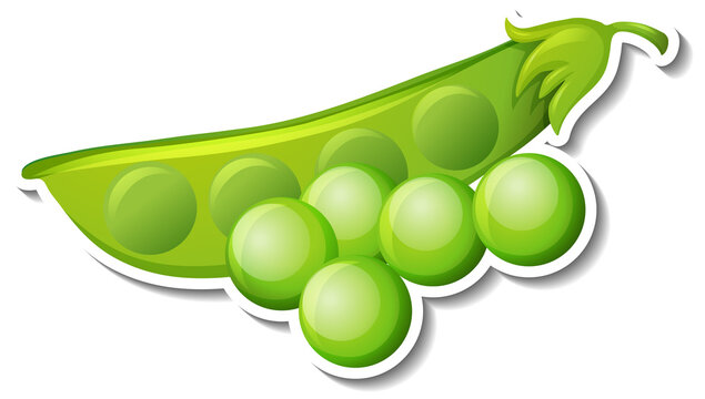 green peas pod and peas on white clip art preview