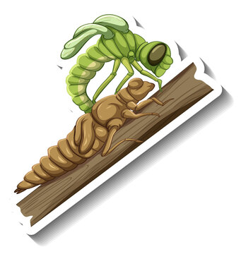 A sticker template with an insect in molt stage