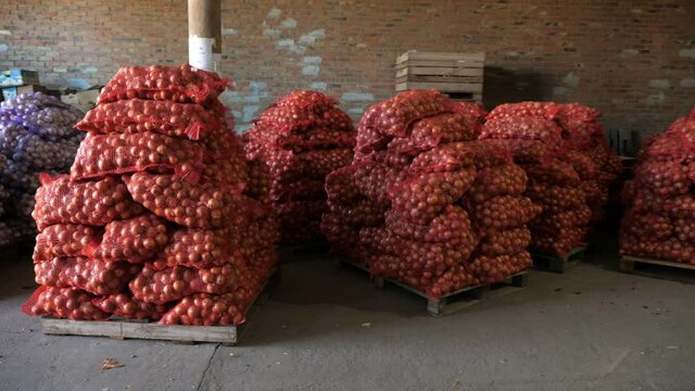 Net sacks full of onion and garlic are kept on large pallets in a storehouse