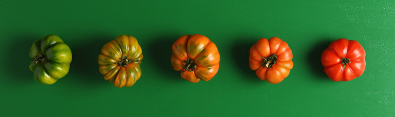 Green and red tomatoes concept