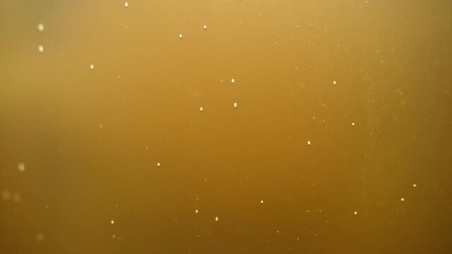 Fermenting honey in a glass bottle with carbonated bubbles fizzing and yeast taking some mildly visible shape within.