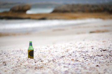 Beer bottle sitting on beautiful beach covered in shells
