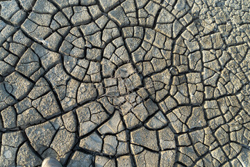 No water ecology disater on dry soil