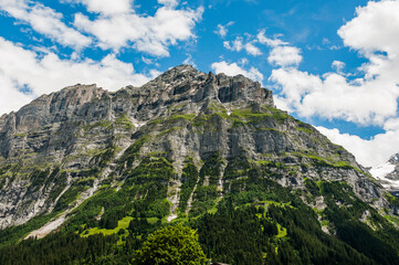 Grindelwald, Schreckhorn, Pfingstegg, Unterer Grindelwaldgletscher, Mättenberg, Eiger,...