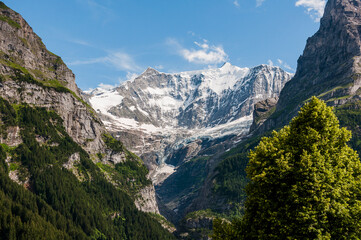 Grindelwald, Unterer Grindelwaldgletscher, Eiger, Eigernordwand, Schreckhorn, Alpen, fiescherhörner, finsteraarhorn, Berner Oberland, Bergdorf, Sommer, Schweiz