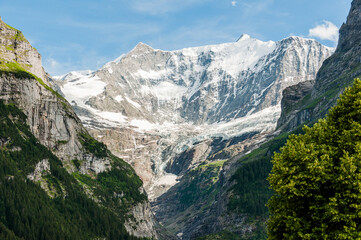 Grindelwald, Unterer Grindelwaldgletscher, Eiger, Eigernordwand, Schreckhorn, Alpen,...