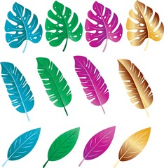 Leaf vector design with various color options