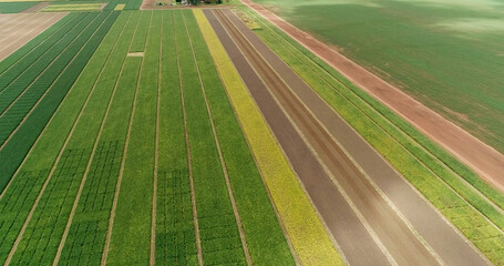 Aerial flying over fields with straw bales at harvesting time. Soybean, sunflowers and maize or corn.