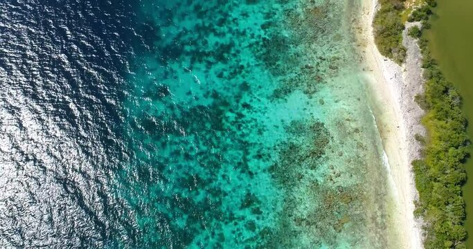 aerial drone view, TILD UP  revealing Cote barrier reef  ,Los Roques venezuela, landscape Caribbean Sea with blue water and Green mangrove