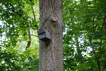 Nesting box for bats (Microchiroptera). Hanover, Germany