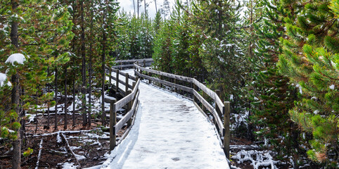 Snowy walking bridge into pine forest in winter.