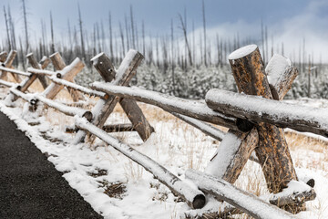 Wooden wall covered by snow in winter season of Yellowstone.