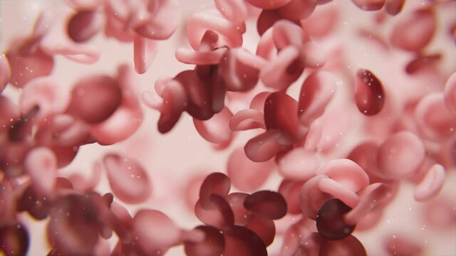 Rote Blutkörperchen oder Blutplättchen fließen durch Vene oder Arterie - Konzept Blutkreislauf