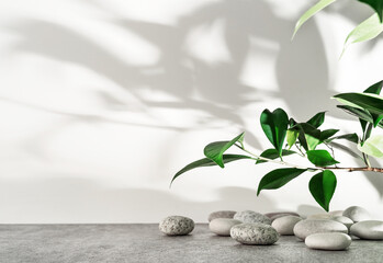 White and grey textured stone podium with sea pebbles, green leaves and plant shadow pattern....
