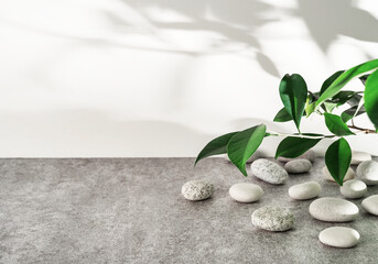 White and grey textured stone podium with sea pebbles, green leaves and plant shadow pattern. Advertising background concept for cosmetics, fashion, spa.