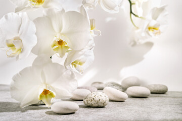 Fototapeta na wymiar White and grey textured stone podium with sea pebbles, orchid flowers and plant shadow pattern. Advertising background concept for cosmetics, fashion, spa.