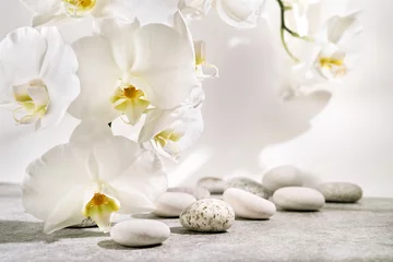Fototapeten White and grey textured stone podium with sea pebbles, orchid flowers and plant shadow pattern. Advertising background concept for cosmetics, fashion, spa. © LanaUst