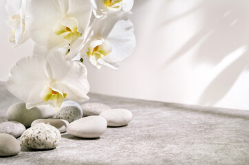 Obraz na płótnie Canvas White and grey textured stone podium with sea pebbles, orchid flowers and plant shadow pattern. Advertising background concept for cosmetics, fashion, spa.