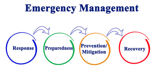 Components of Emergency Management Process