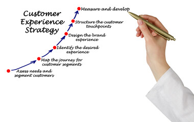 Components of Customer Experience Strategy