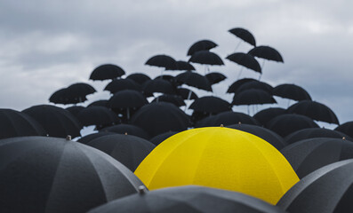 UMBRELLAS fly out