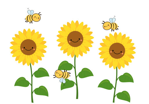 Sunflower field and bee cartoons isolated on white background vector.