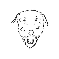 Airedale Terrier Dog. hand drawn. Vector illustration
