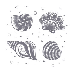 Hand drawn seashells with water bubbles. Vector illustration on a white background