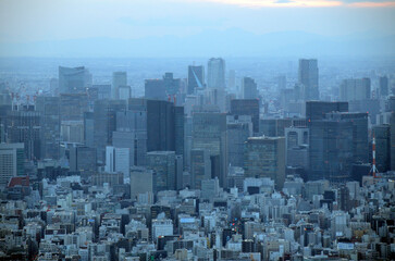 Obraz premium 東京の街並み
