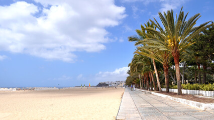 Fototapeta premium The huge beach and the promenade with palm trees and tropical greenery in Morro Jable, Fuerteventura, Canary islands, Spain