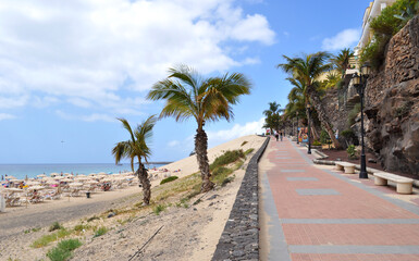 Fototapeta premium The beach and the promenade with palm trees, tropical greenery and stone wall in Morro Jable, Fuerteventura, Canary Islands, Spain.