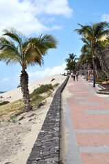 Obraz premium The beach and the promenade with palm trees, tropical greenery and stone wall in Morro Jable, Fuerteventura, Canary Islands, Spain..