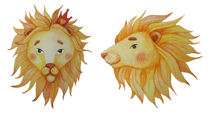 Fototapeta premium Portrait of a cute lion with a decorative mane. A set of drawings in profile and in front view. Watercolor hand drawing on a white background. Lion for design, decor, decoration and logo